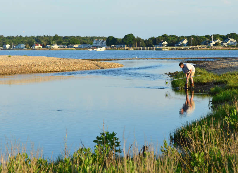 woman holding a net next to the water at Shining Tides Beach in Mattapoisett
