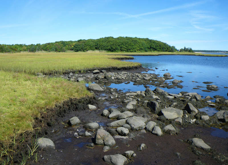 salt marsh along Nasketucket Bay shoreline in Fairhaven