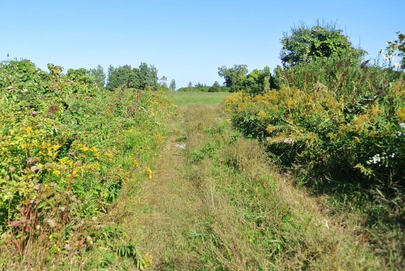 grassy path through Shipyard Farm in Fairhaven