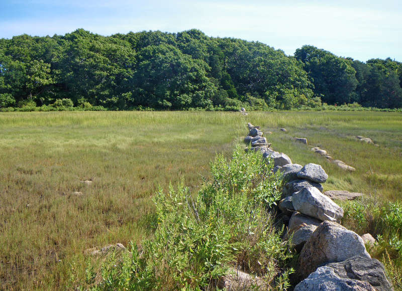 stone wall in salt marsh at Shipyard Farm in Fairhaven