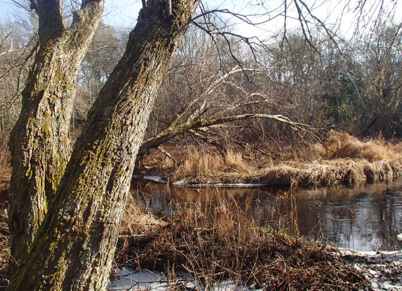 Mattapoisett River from Shoolman Preserve in Rochester