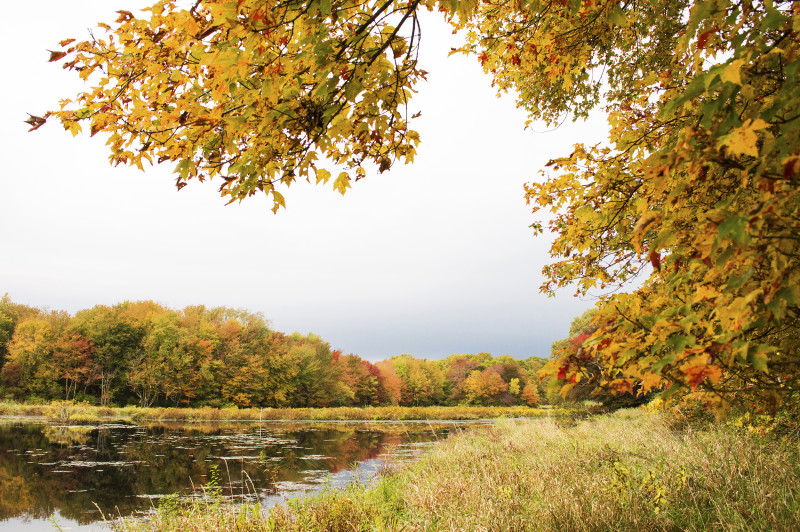 autumn view of the Acushnet River from The Sawmill