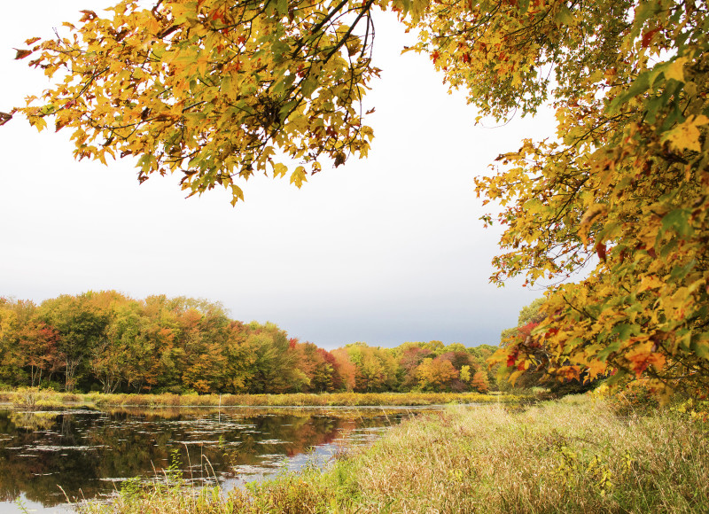 autumn view of the Acushnet River from The Sawmill