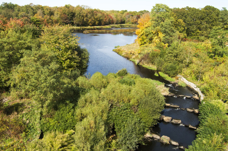 Acushnet River and fishway at The Sawmill