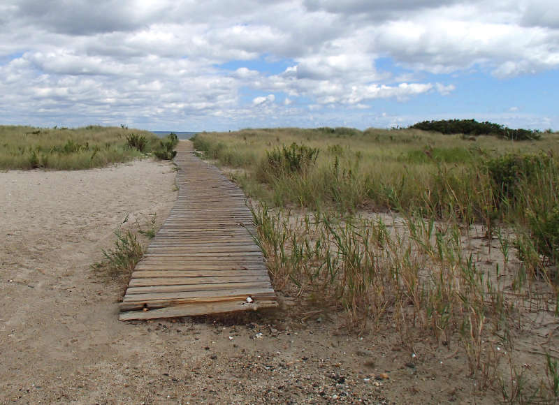 boardwalk through salt marsh at West Island Town Beach in Fairhaven