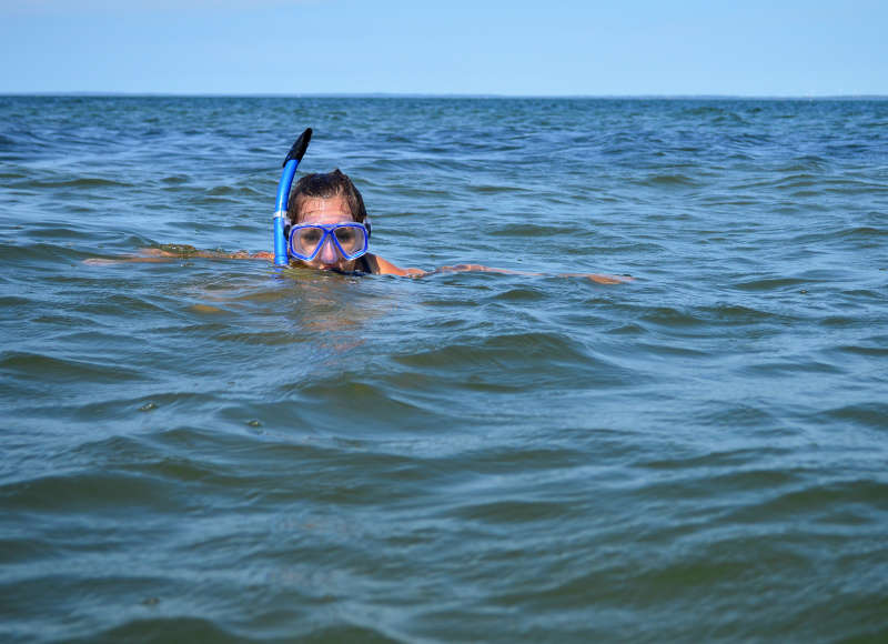 a woman snorkeling in Buzzards Bay at West Island Town Beach