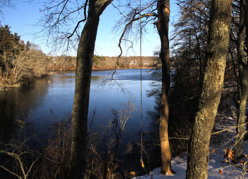 Wing Pond in Falmouth