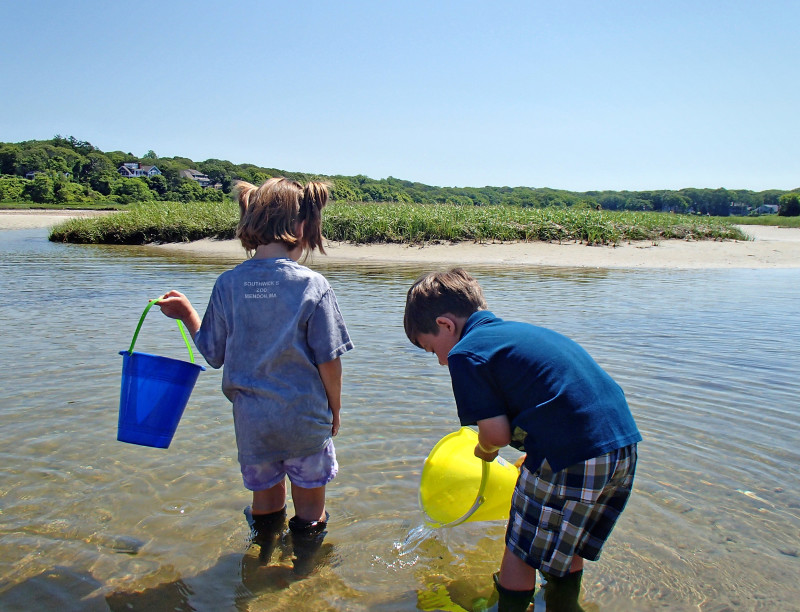 kids explore the waters of Little Sippewissett Marsh in Falmouth