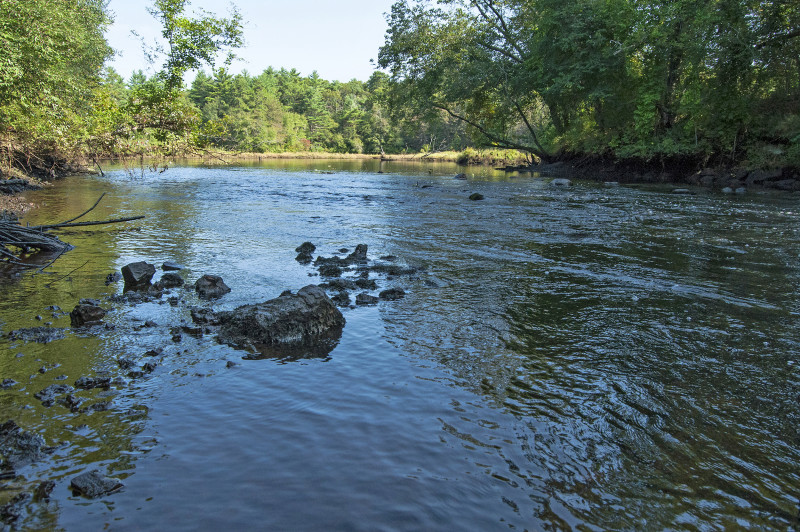 Weweantic River at Horseshoe Mill in Wareham