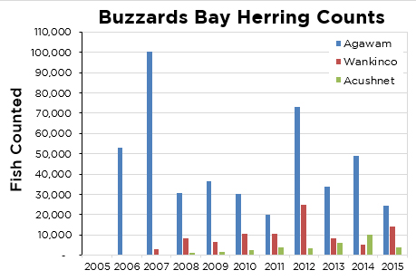 graph of river herring in the Agawam, Wankinco, and Acushnet rivers from 2005 to 2015