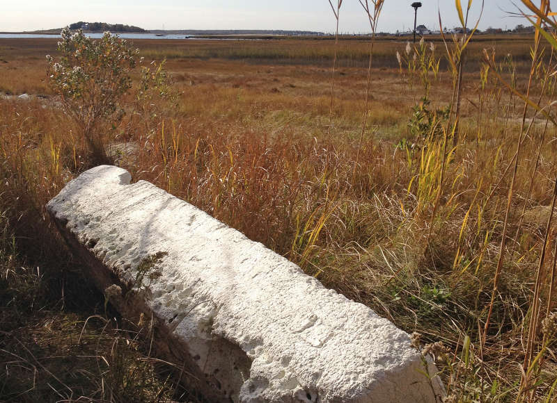 large piece of foam in a salt marsh on Brandt Island Cove in Mattapoisett