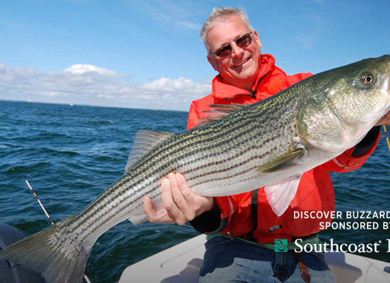 Man holding a large striped bass with the Southcoast Health logo
