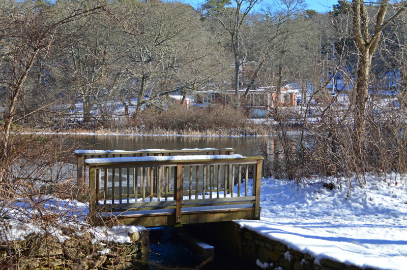 small footbridge across Herring River at Carter Beal Conservation Area in Bourne
