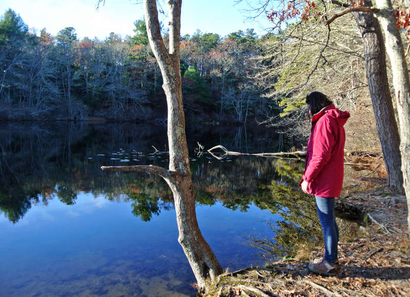 a woman stands by the edge of a pond at Four Ponds Conservation Area in Bourne