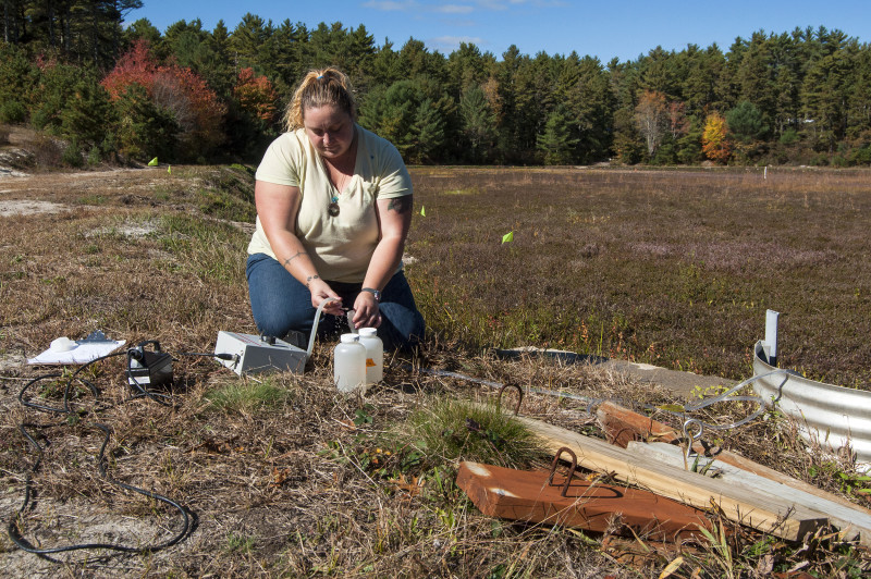 a research gathering a water sample from a cranberry bog in Carver