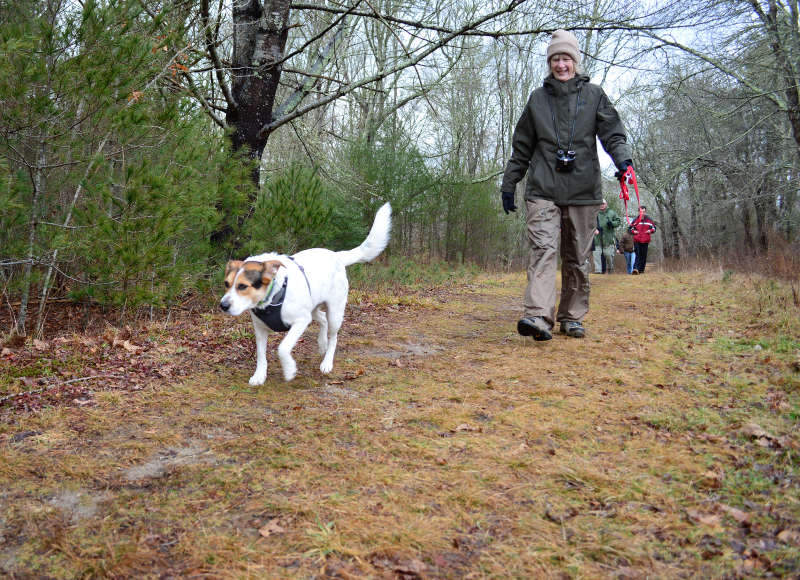 a dog and a woman walking on the trail at The Bogs in Mattapoisett