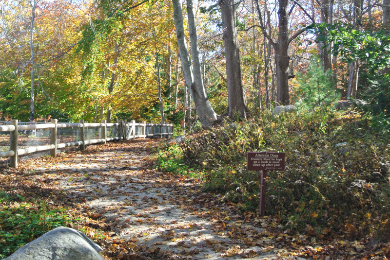 dog sign at Beebe Woods in Falmouth