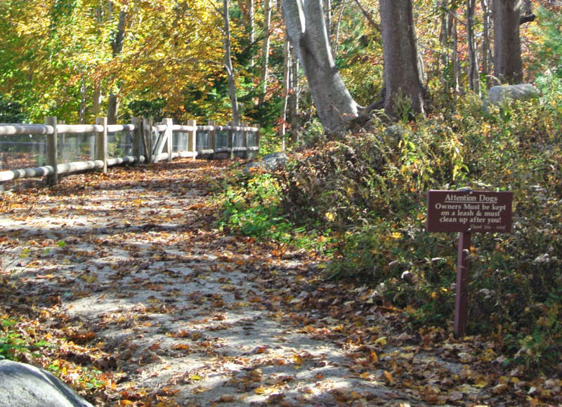 dog sign at Beebe Woods in Falmouth