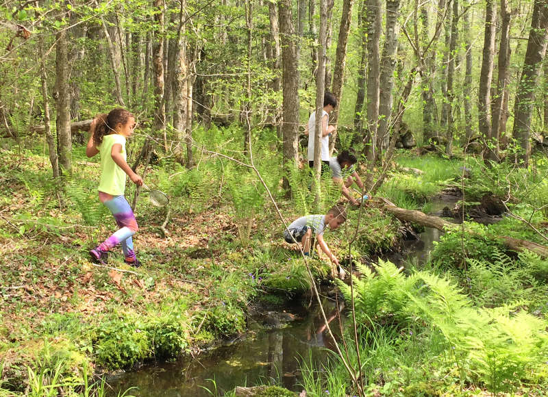 kids playing in the woods on the East Fairhaven Elementary School Trail