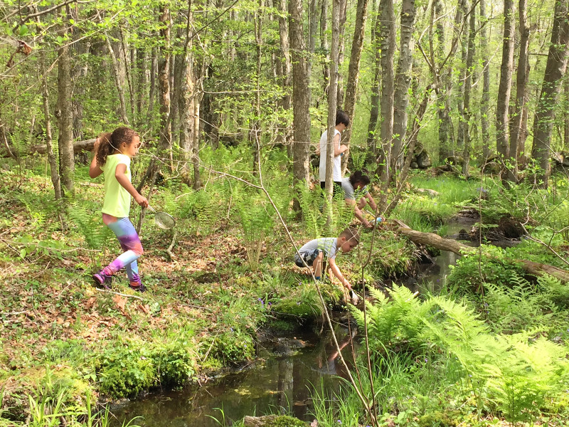 kids playing in the woods on the East Fairhaven Elementary School Trail