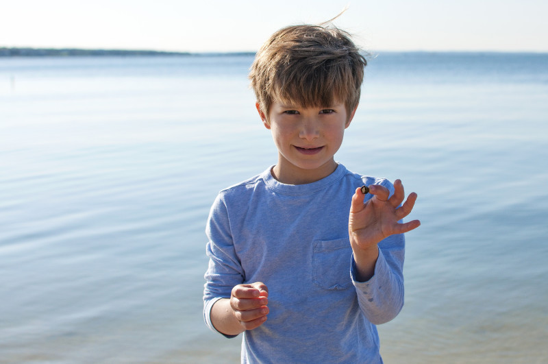 a boy holding a hermit crab at Silvershell Beach in Marion