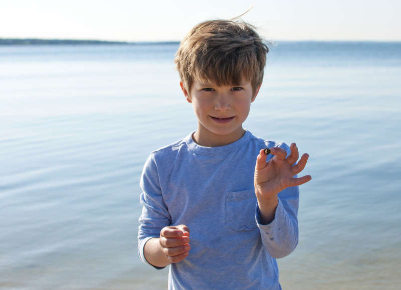 a boy holding a hermit crab at Silvershell Beach in Marion