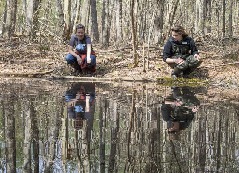 two women crouching by the edge of a vernal pool at Flora B. Peirce Nature Trail in New Bedford