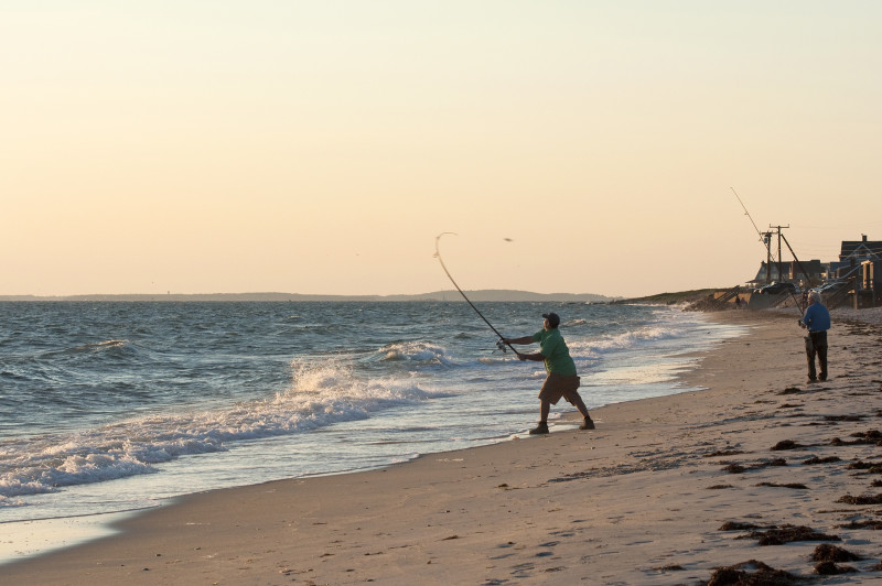 two men surfcasting from Chapoquoit Beach in Falmouth