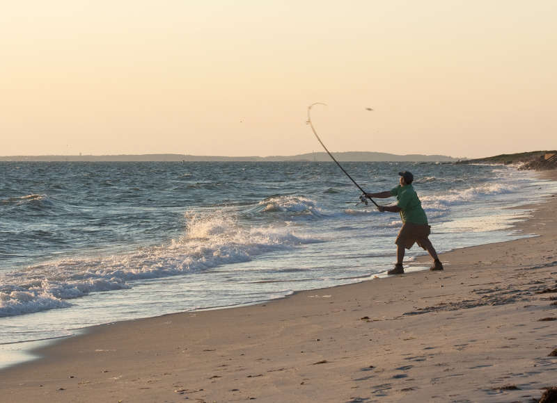 two men surfcasting from Chapoquoit Beach in Falmouth