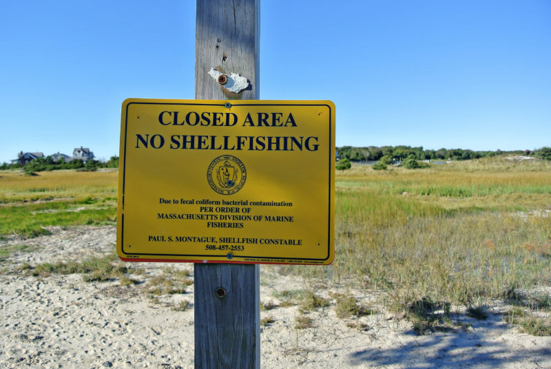 a closed shellfish bed sign at Chapoquoit marsh in West Falmouth