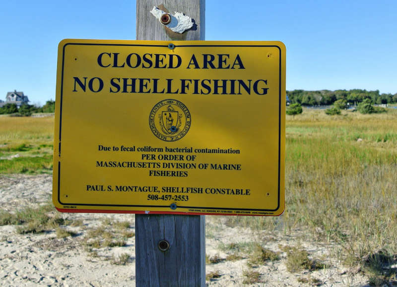 a closed shellfish bed sign at Chapoquoit marsh in West Falmouth
