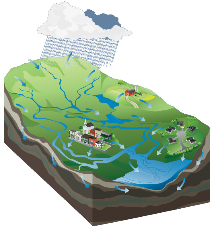 illustrated diagram of a watershed