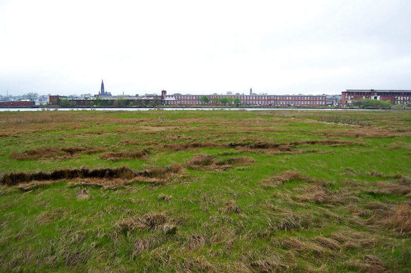 salt marsh along the Acushnet River with factories along the far shoreline