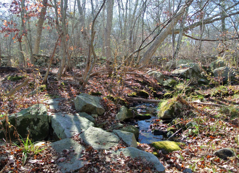 Zylfee Brook at Allens Pond Wildlife Sanctuary in Dartmouth