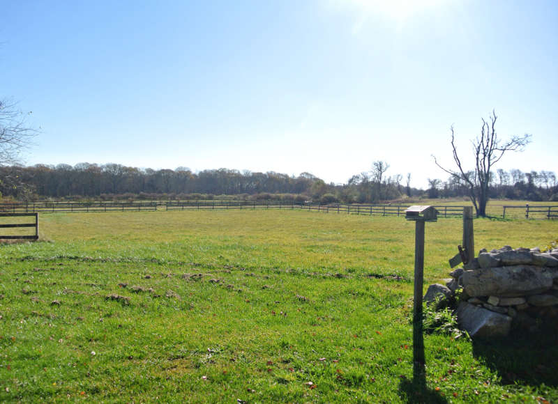 grassy farm field at the Stone Barn at Allens Pond Wildlife Sanctuary in Dartmouth