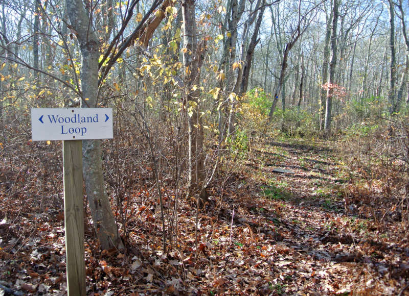 Woodland Loop trail at Allens Pond Wildlife Sanctuary in Dartmouth