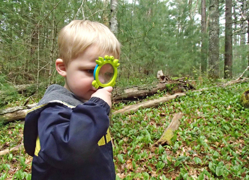 a little boy holds a magnifying glass to his face in the forest at Bourne Sisters Woodland