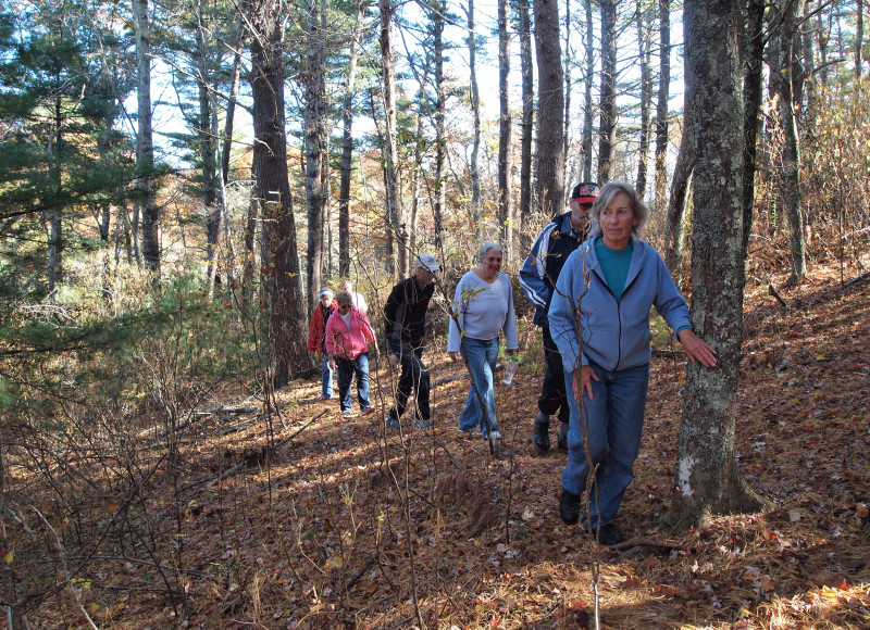 several adults walking up a steep trail through the woods at Bourne Sisters Woodland