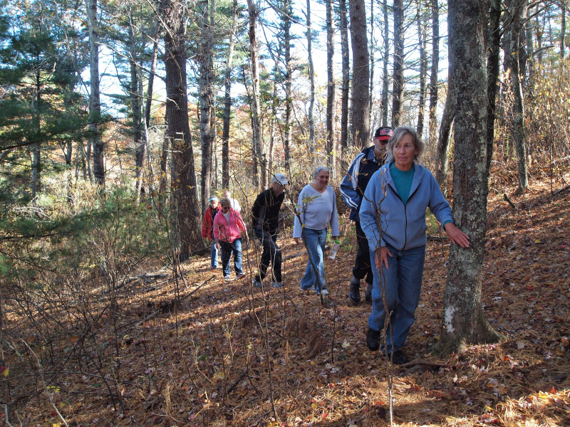 several adults walking up a steep trail through the woods at Bourne Sisters Woodland