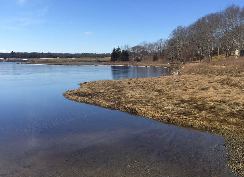 shoreline of the Slocums River in Dartmouth from Gaffney Road Landing