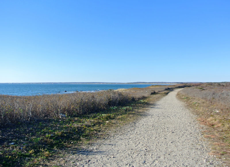 trail and shoreline on Buzzards Bay at Gooseberry Island in Westport