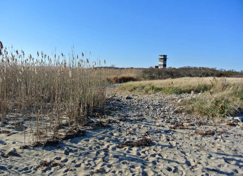 lookout tower at Gooseberry Island in Westport