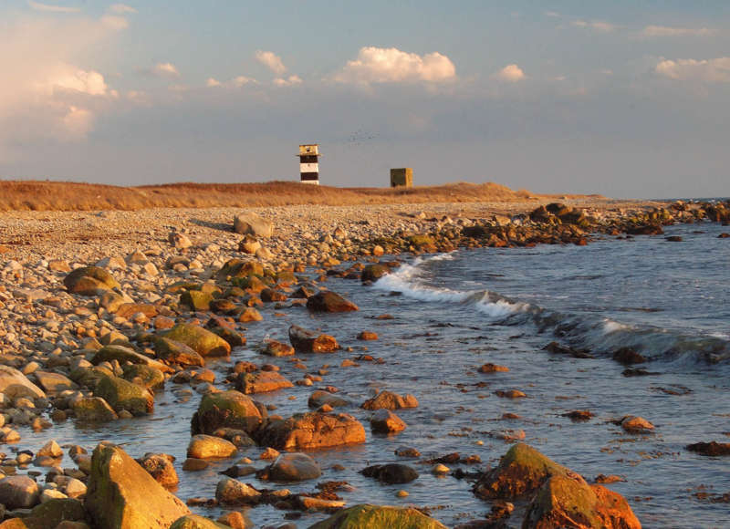 rocky shoreline at Gooseberry Island in Westport at sunset