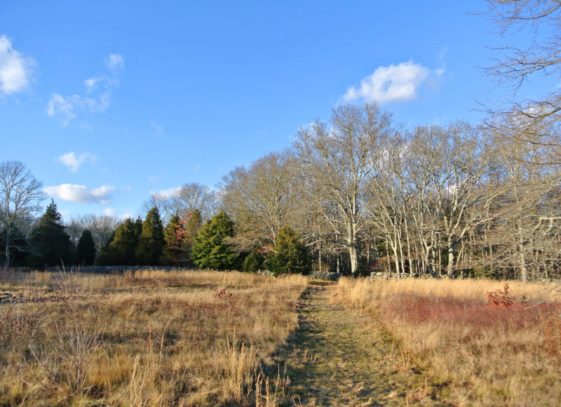 meadow trail at Herb Hadfield Conservation Area in Westport