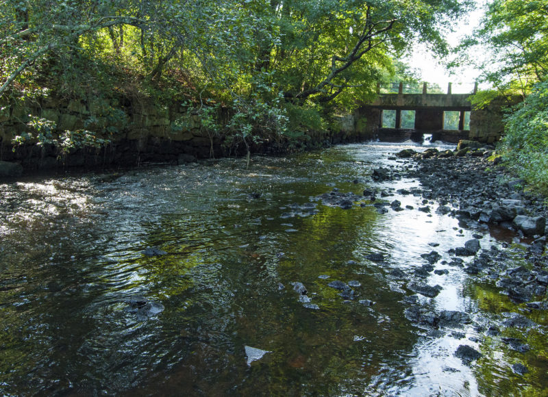 the remnants of an old dam at Horseshoe Mill in Wareham