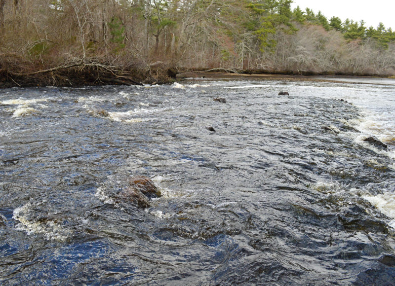 Weweantic River at Horseshoe Mill