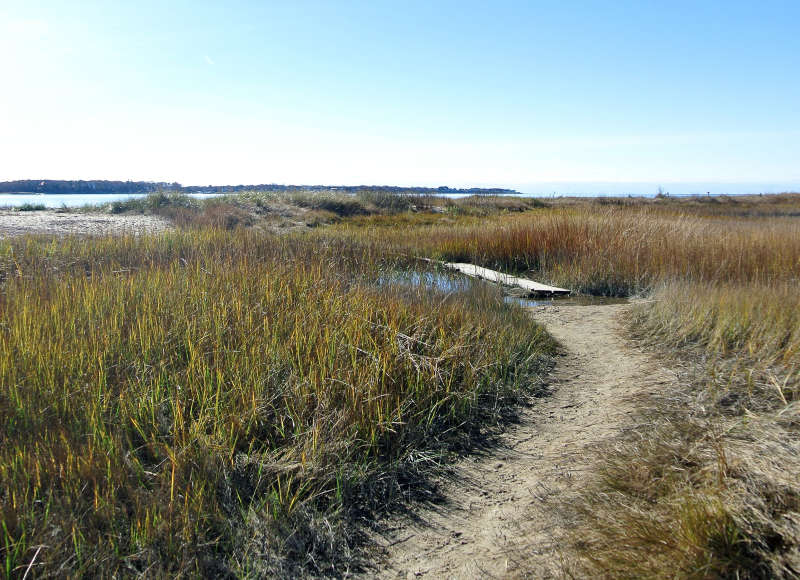 bog boards through a salt marsh at Lawrence Island in Cataumet