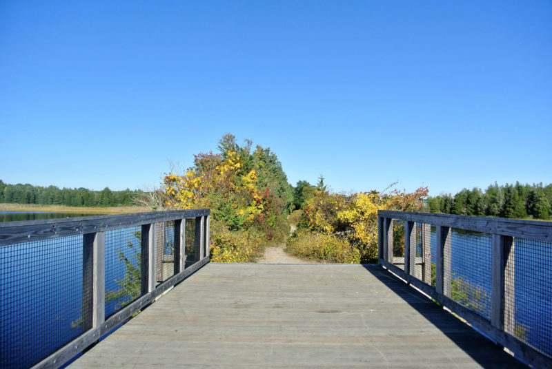 small wooden bridge over the Mattapoisett River