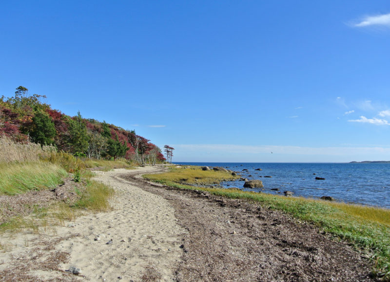 the shoreline of Nasketucket Bay from Nasketucket Bay State Reservation