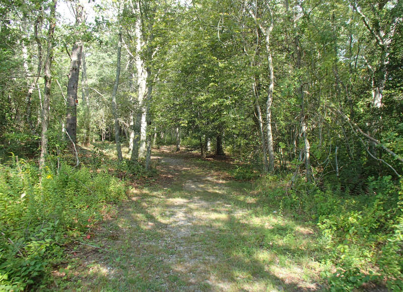 short trail through the woods at Paskamansett Park in Dartmouth
